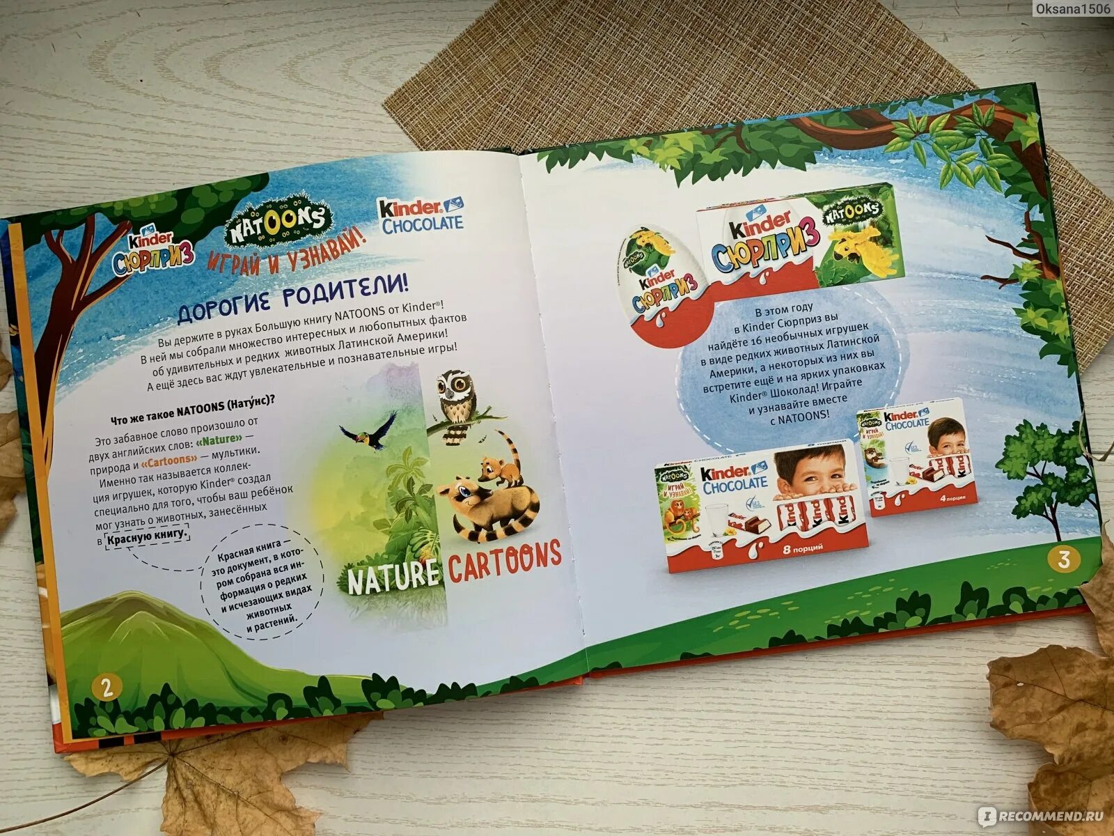Киндер сюрприз натунс 2020 коллекция. Книга kinder. Книга kinder. Книжки из киндера. Novels for kids.