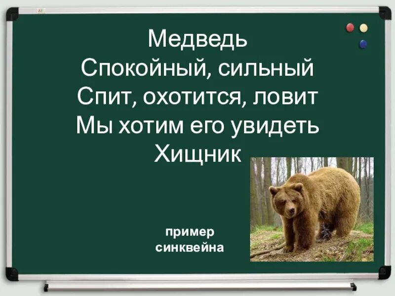 Значение слова медведь. Синквейн медведь. Слово медведь. Спокойный медведь. Синквейн к слову медведь.