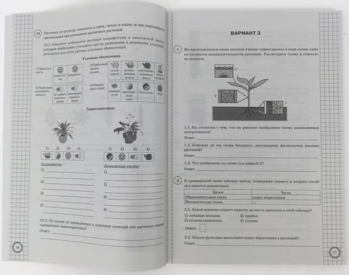 Касаткина биология ВПР 6 класс. Биология ВПР 7 класс Касаткина. ВПР по биологии 5 класс Банникова Касаткина шариков. ВПР по биологии 6 класс 25 вариантов Касаткина.