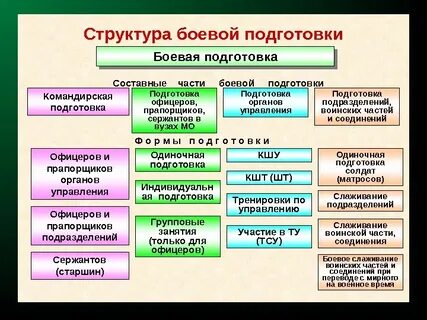Система боевой подготовки