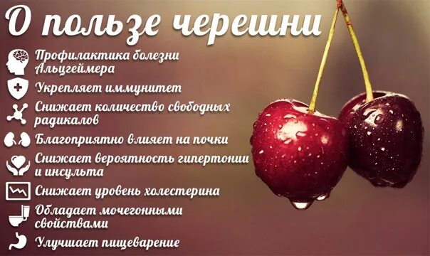 Польза черешни. Черешня польза. Что полезного в черешне. Чем полезна черешня. Польза черешни для организма.