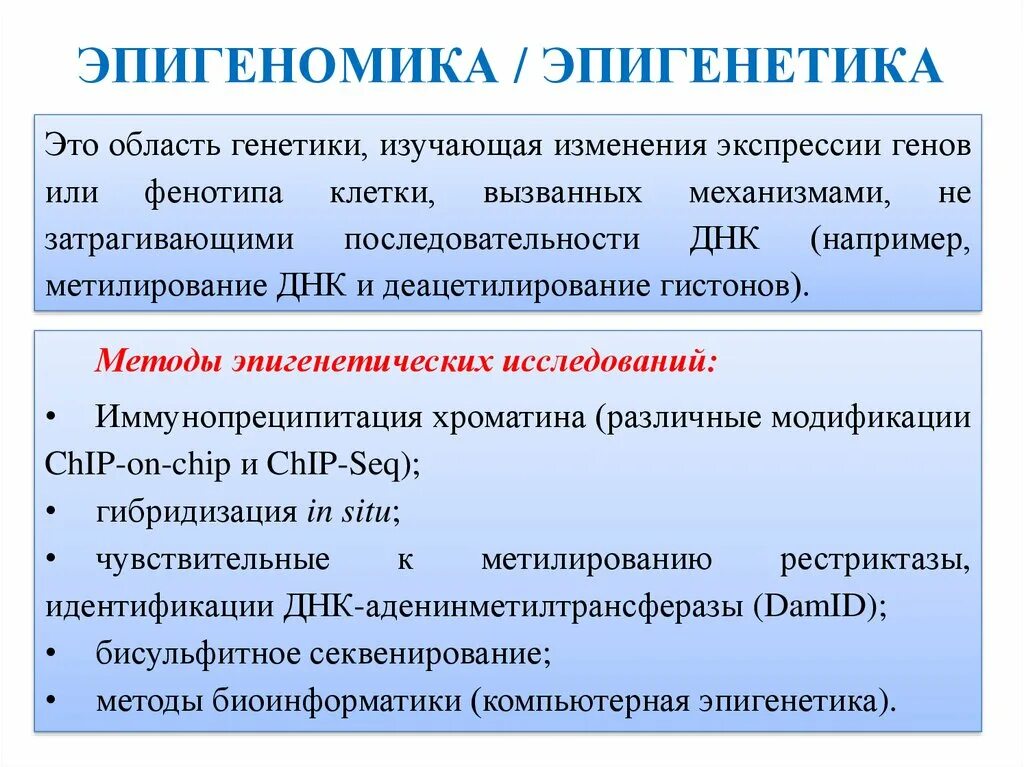 Общие представления об эпигенетике