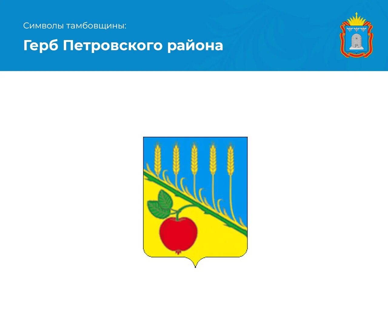 Герб российского района. Герб Петровского района Тамбовской области. Флаг Петровского района Тамбовская область. Петровский район Тамбовская область герб. Герб города где много фруктовых садов а окружают хлебные поля.