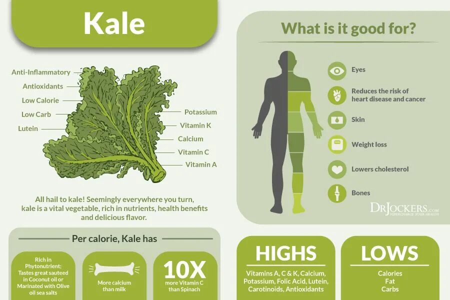 Кале суперфуд. Reduce Calories. Kale food перевод. Kale перевод