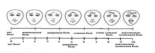 Шкала укусов шмидта. Шкала шмидта. Шкала шмидта. Шкала боли. Шкала силы укусов насекомых.