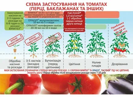 Сколько раз удобрять помидоры