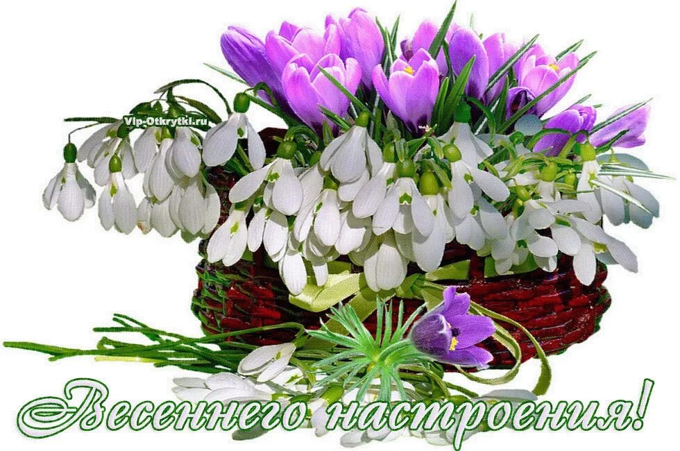 Красивый весенний букет. Весенние цветы счастья. Открытки с весенними цветами. Весенние цветы счастья. Весенние цветы счастья.