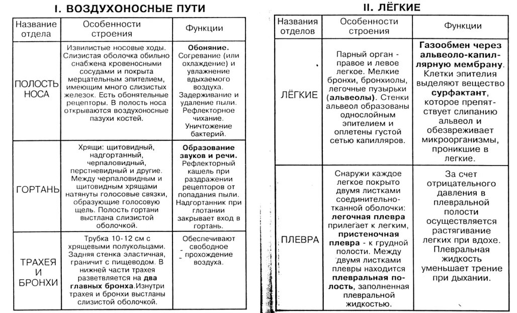 Таблица название систем органов органы функции. Органы дыхания особенности строения и функции таблица. таблица по биологии 8 класс органы дыхания строение и функции. таблица по биологии строение и функции дыхательной системы. таблица по биологии 8 класс органы дыхания орган строение функция.