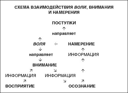 Внимание и намерение