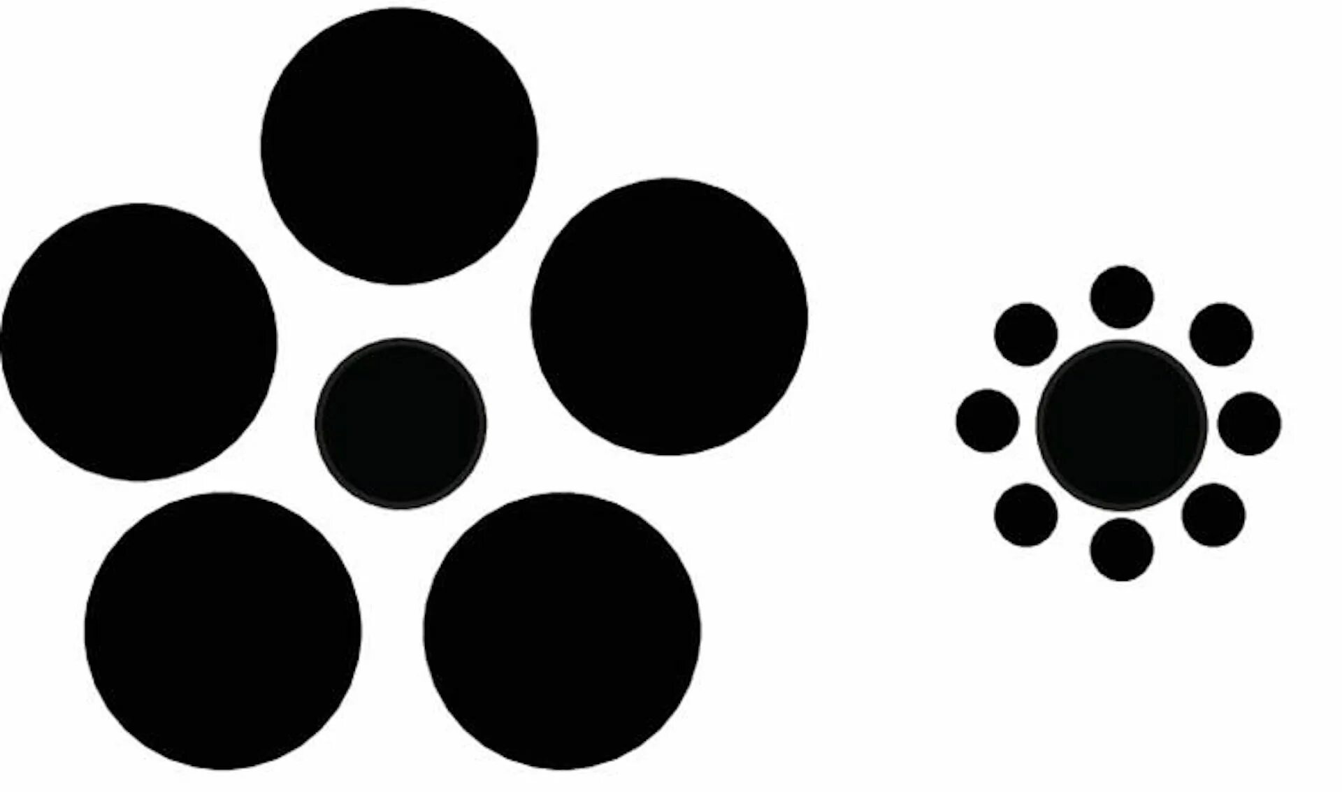 Visual similarity