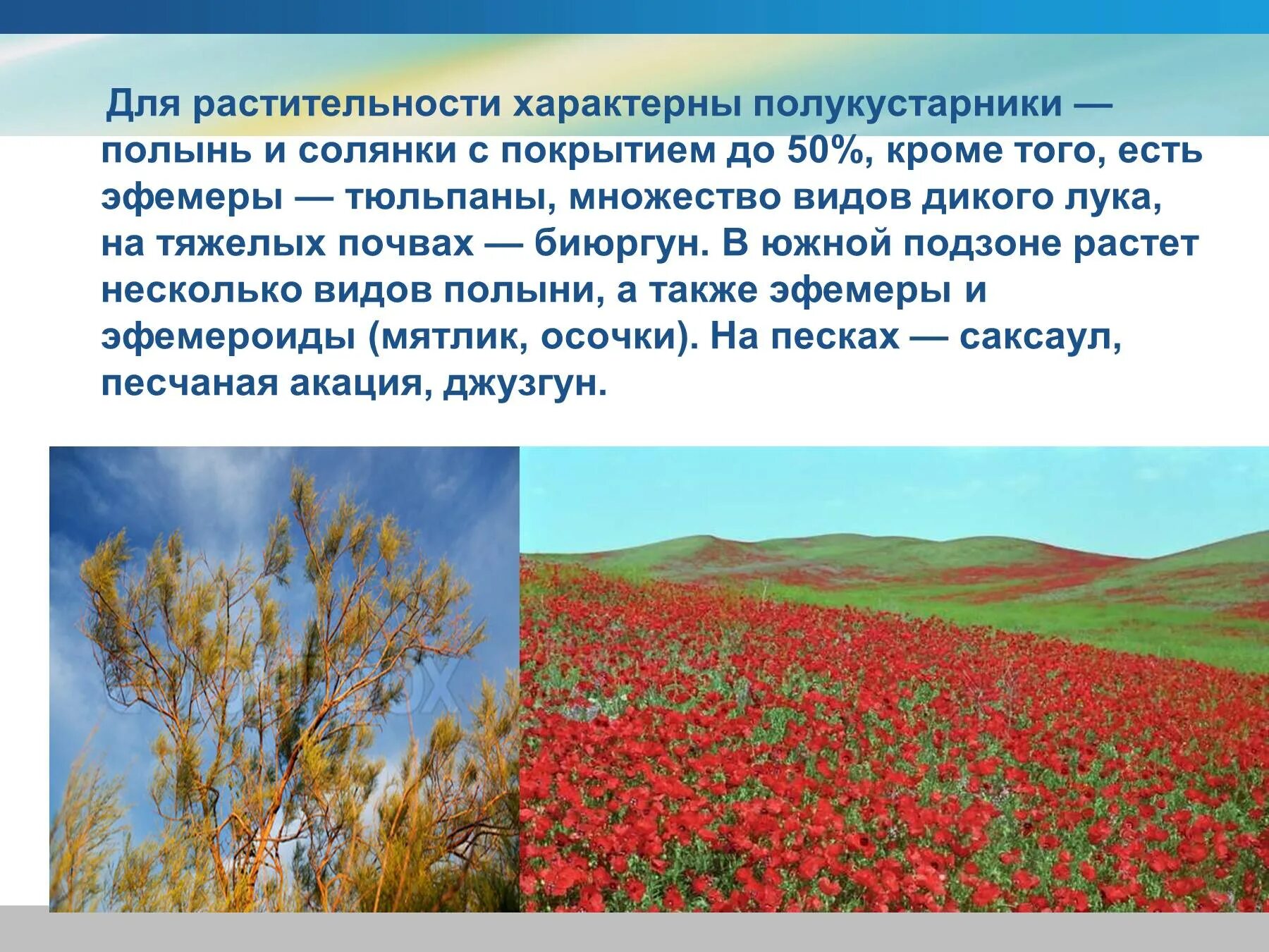 Что сформировало специфическую растительность
