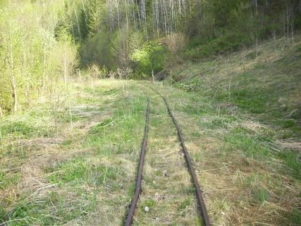 Узкоколейка в беларуси