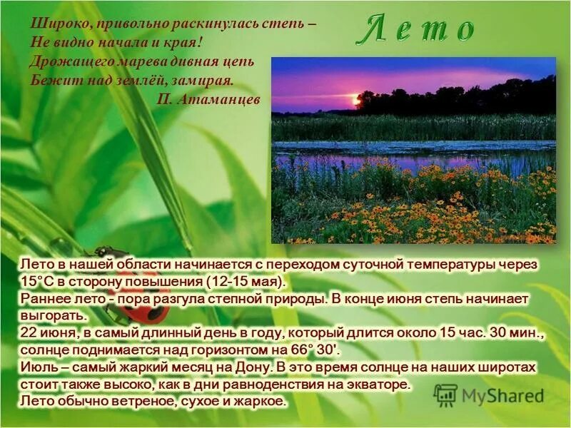 Ковыль донской край. Сальская степь. Ночная степь. Ах ты степь широкая степь раздольная. Широко ли далеко степь ты протянулась.