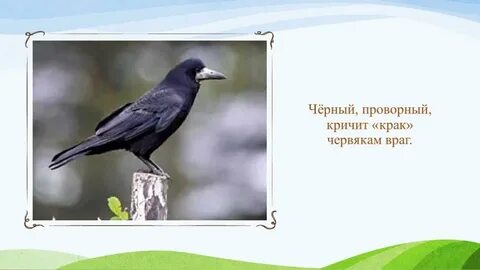 Проворный это