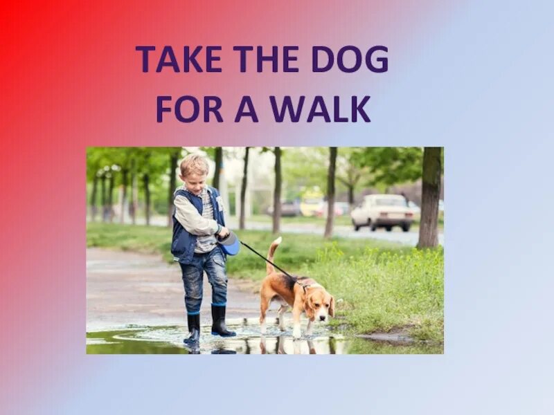 Take for a walk. Taking a Dog for a walk. To take the Dog for a walk. Walk the Dog Flashcard.