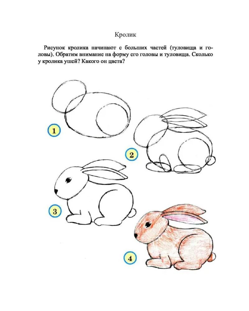 Как нарисовать зайца поэтапно для детей. Как нарисовать зайца поэтапно для детей