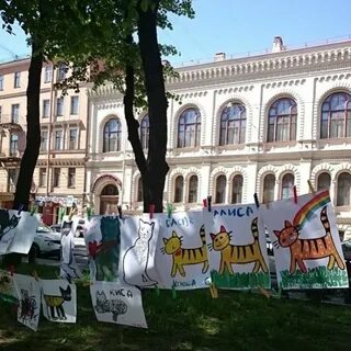 Июнь 3 дня в питере