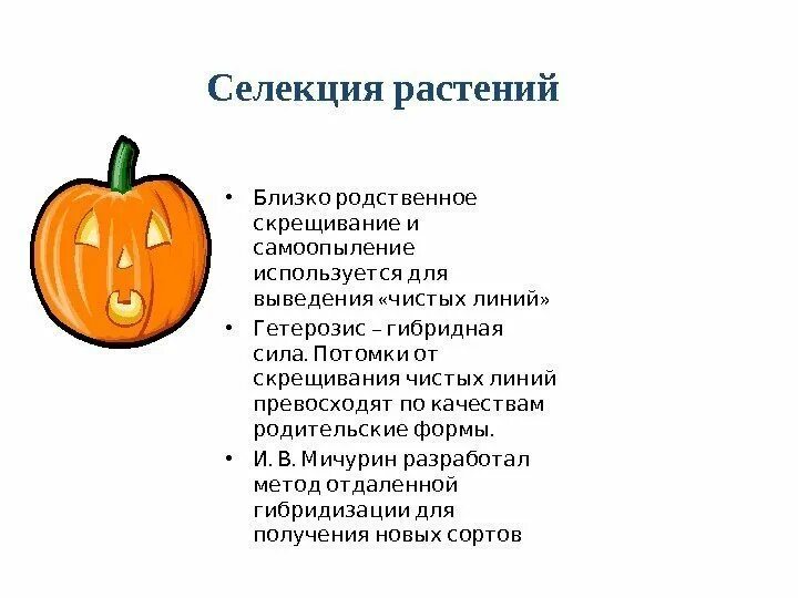 Описание селекции. Биологические науки селекция. Гетерозис. Эффект гетерозиса при межпородном скрещивании. Описание селекции.