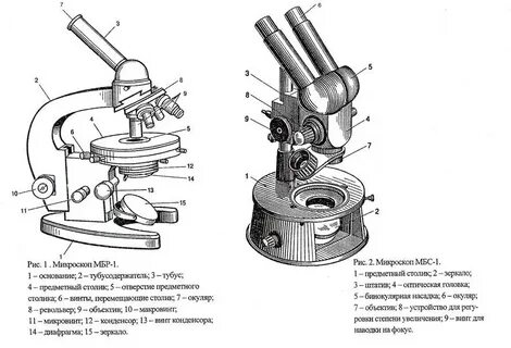 Зарисовать устройство микроскопа