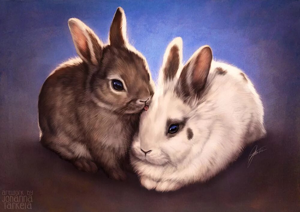 Зайчик арт. Нарисованные животные. Кролик арт. Кролик рисунок. Красивые рисунки животных.