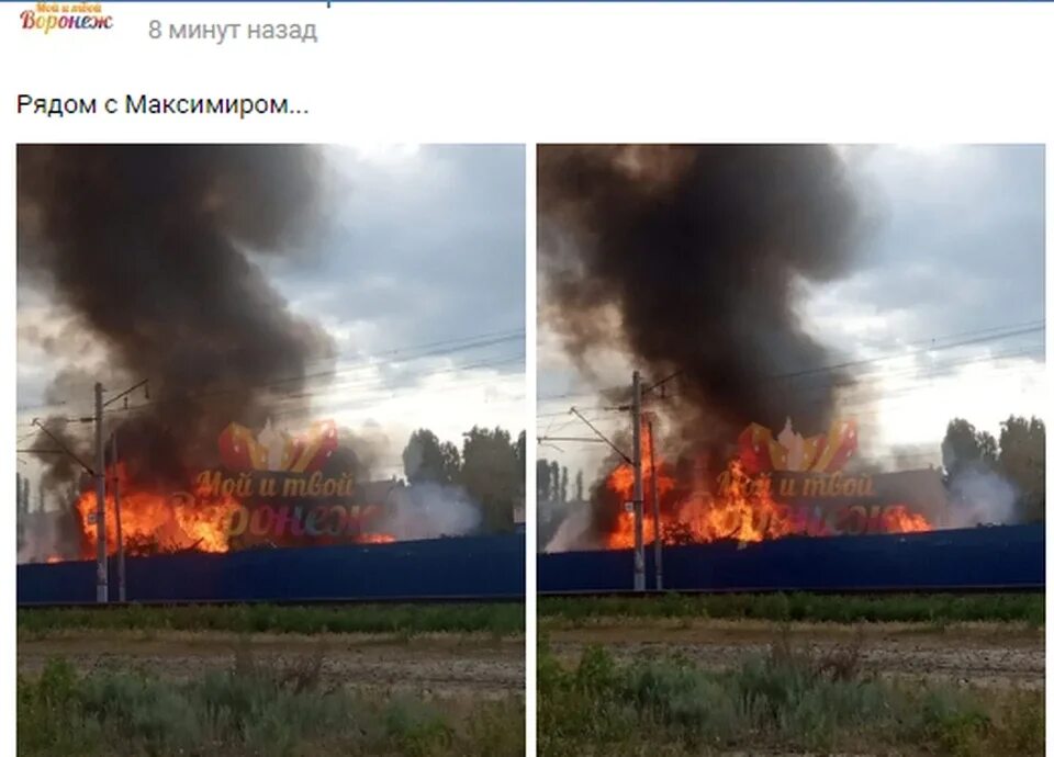 Пожар в лесополосе. Воронеж пожар сейчас на левом берегу. Пожар в мкр. Железнодорожный. Пожар на Минской Воронеж.