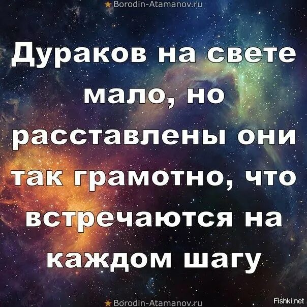 Дураков мало но они расставлены. Дураков мало но расставлены они так грамотно. Не обращайте внимание на дураков цитаты. На дураков внимания не обращают. Известно что есть много на свете таких