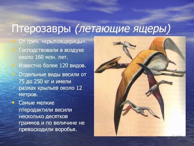 Сообщение о летающих животных. Летающие динозавры. летающие динозавры презентация. описание летающих динозавров. птеродактиль доклад.