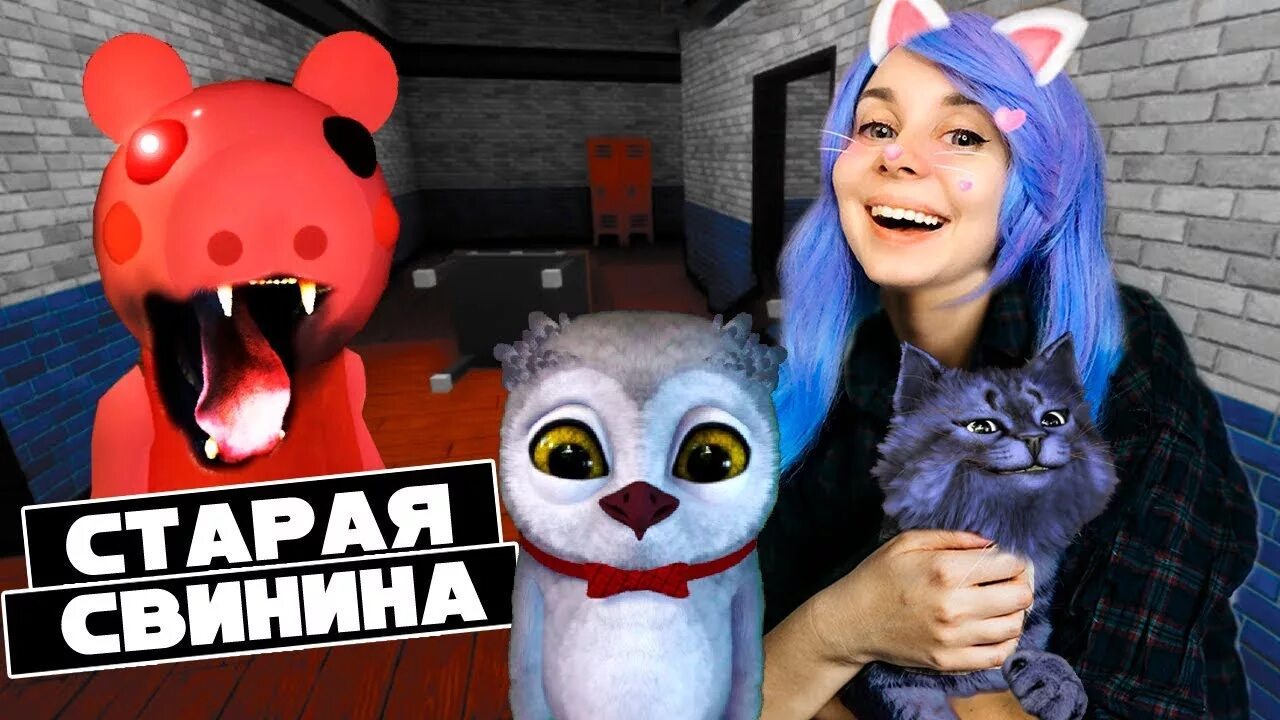 Как зовут кошку лану