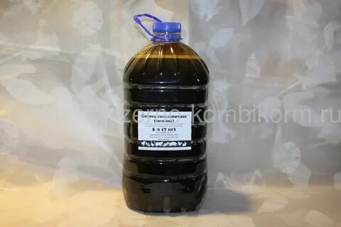Последние новости натальи патока