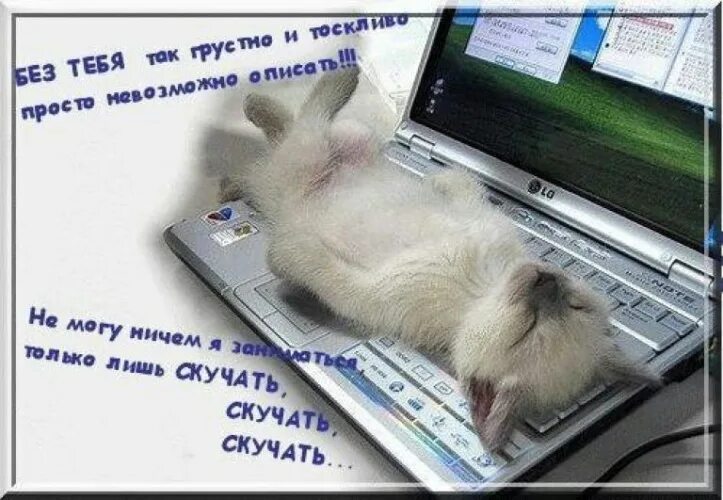 Грущу на работе