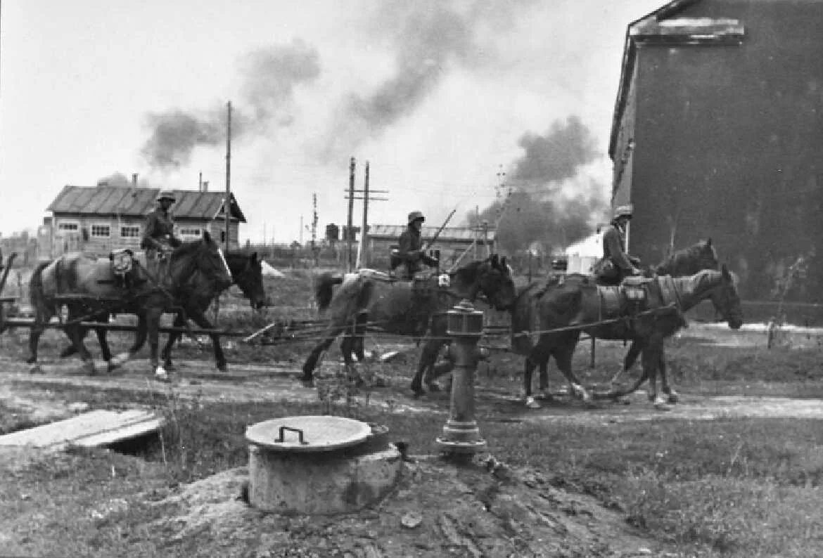 Великая отечественная новгородская область. Новгород в годы ВОВ. Великий Новгород в годы войны.