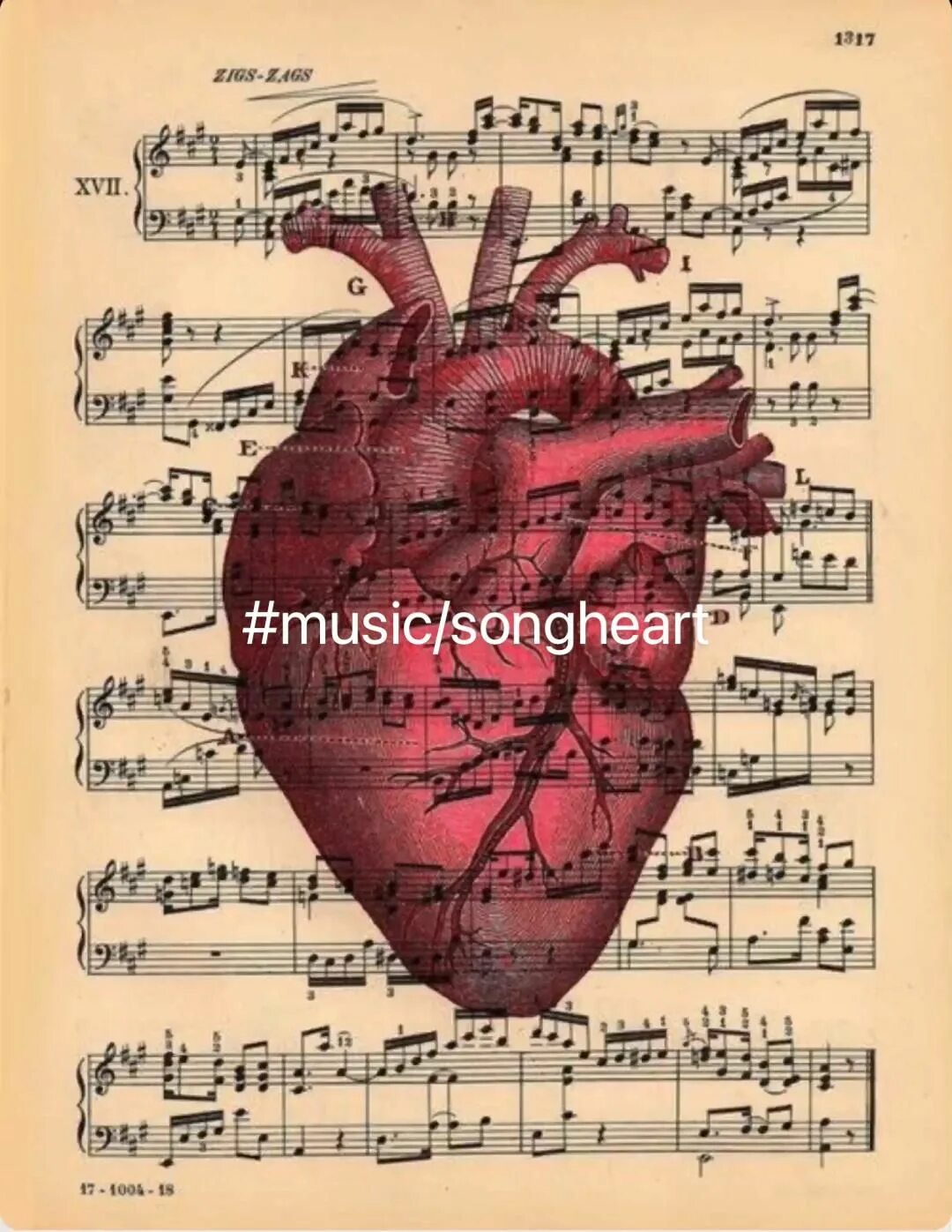 Большое сердце произведение. Человеческое сердце и музыка. Анатомия музыки. Сердце творчество. Возрождение сердца.
