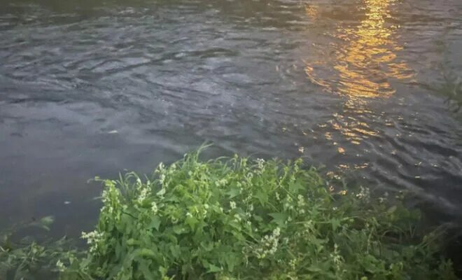 Машина в водоеме. Утопленники река тиса. Девушка провалилась под лед. В товарково утонула девочка. Утонувшая 12 в пруду.