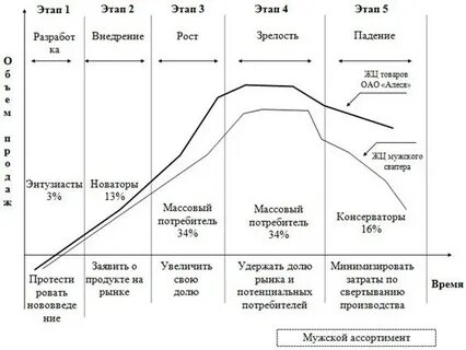 Стадия внедрения жизненного цикла