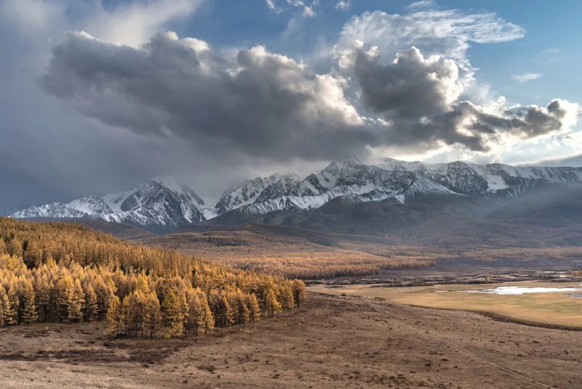 Алтай. Курайский хребет горный алтай. Курайская долина горный алтай. Курайская степь чуйская степь. Курайская долина горный алтай.