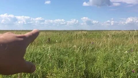 Чудское озеро 3 2