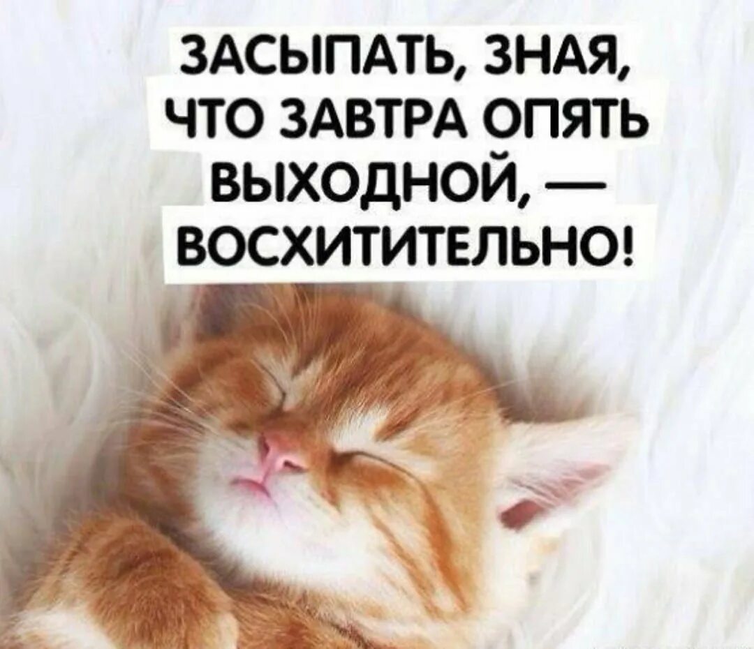 Пришла с работы. Смешные комиксы про девушек. Утро девушка. Проведи выходные с пользой. Надеяться выходной.