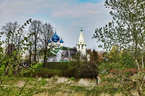 Погода в суздале в ноябре
