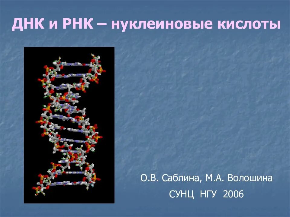 ДНК И РНК. ИРНК. Нуклеиновые кислоты ДНК И РНК. ДНК для презентации.