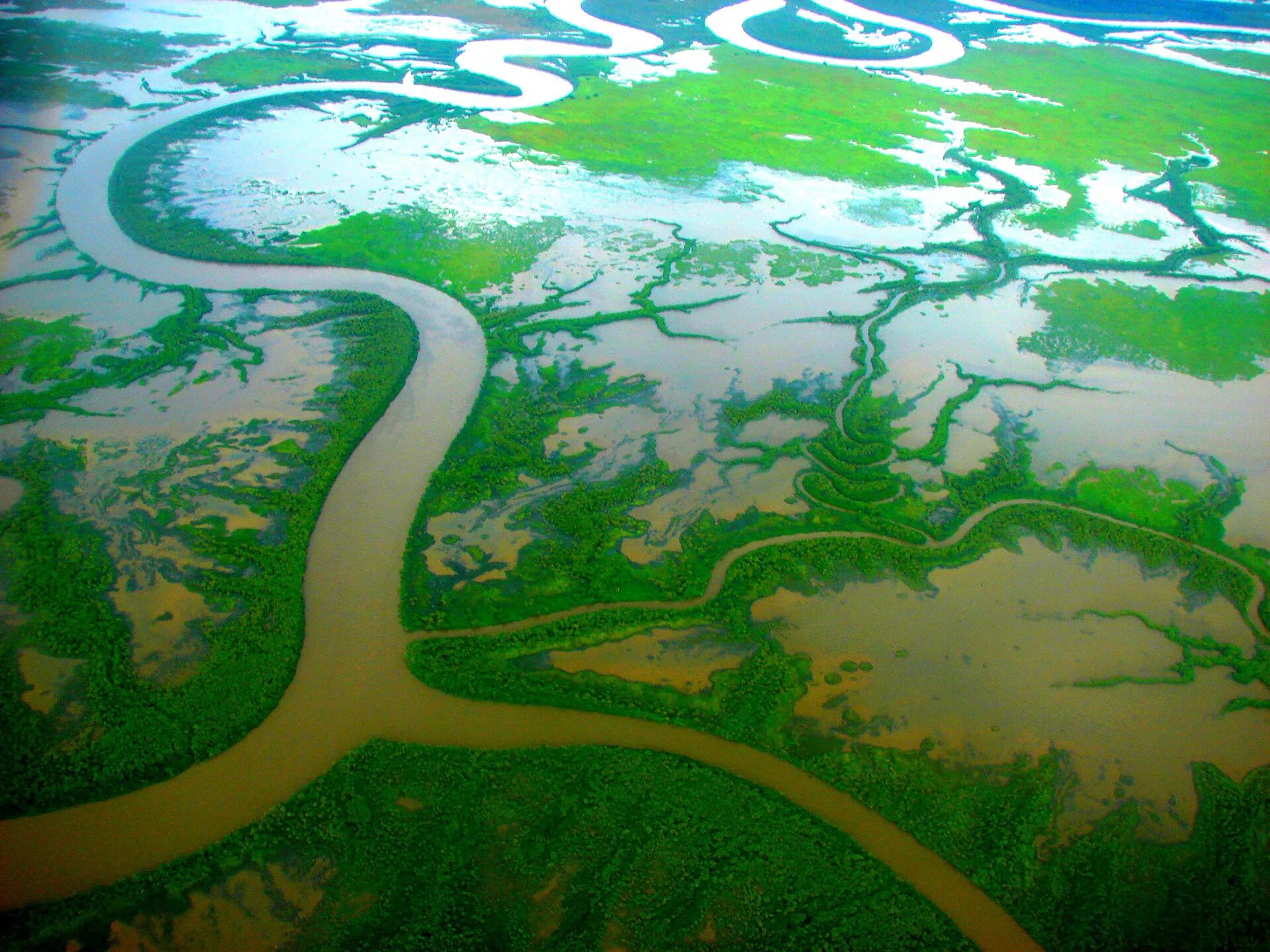 Дельта реки парана. Река дунай в австрии. Рукавом устье. Река иордан с высоты. Рукавом устье.