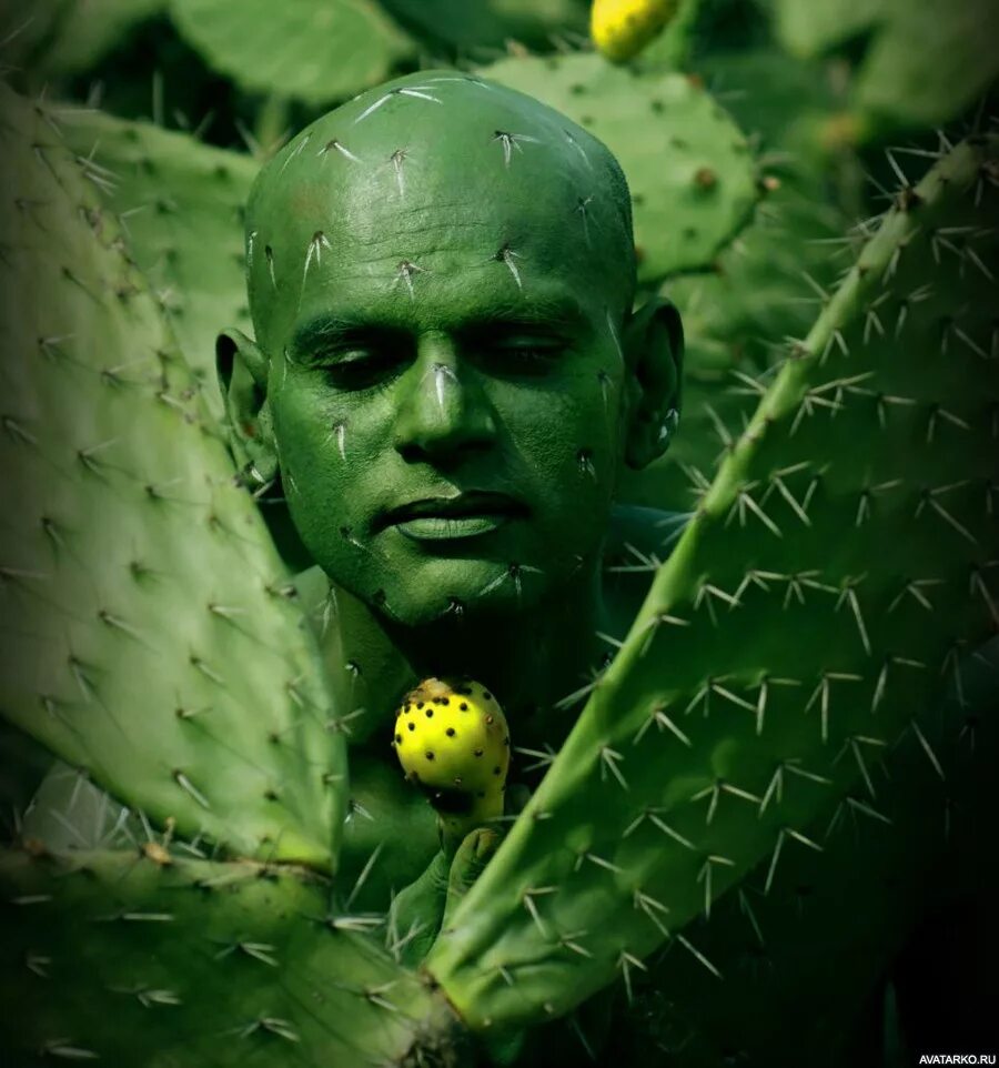 Растений человеком становится. Боди-арт художника Йоханнеса Стоттера. Человек Кактус. Лысый Кактус. Растения и человек.