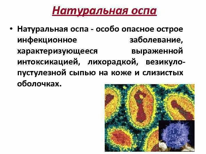 Вирус ветряной оспы может поражать. Натуральная оспа возбудитель вирус. Механизм передачи возбудителя натуральной оспы. Патогенез натуральной оспы микробиология. Механизм передачи возбудителя натуральной оспы.