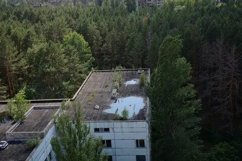 Чернобыль зона 2 8