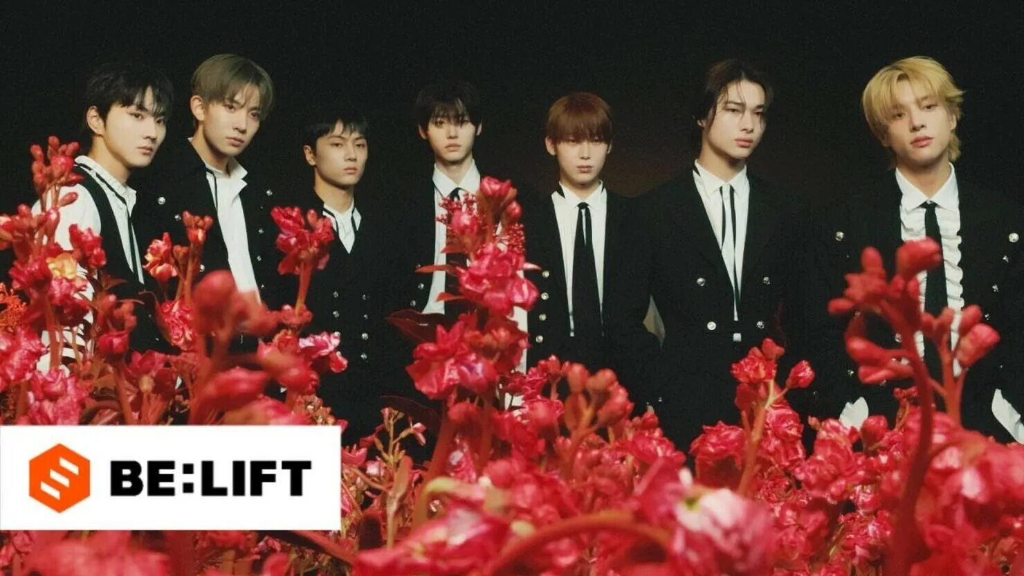 Enhypen orange blood. Участники группы энхайпен. Тёмная луна кровавый алтарь дорама. Enhypen orange blood. Enhypen orange blood.