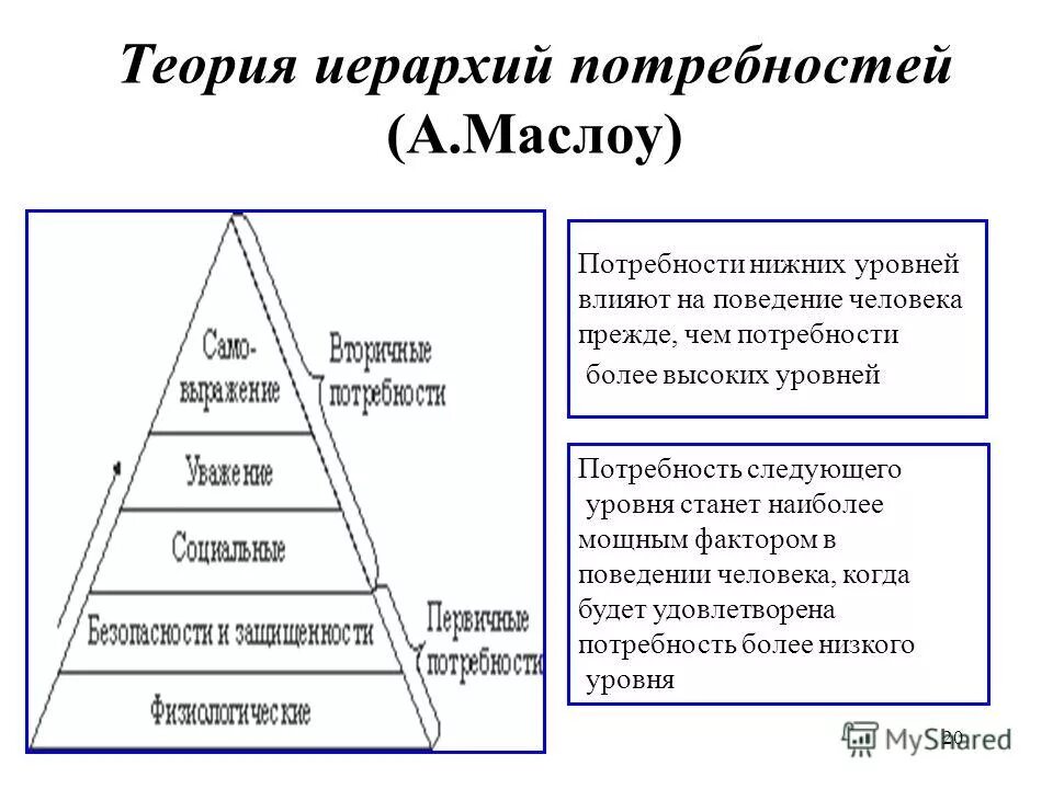 Иерархия статусов в обществе
