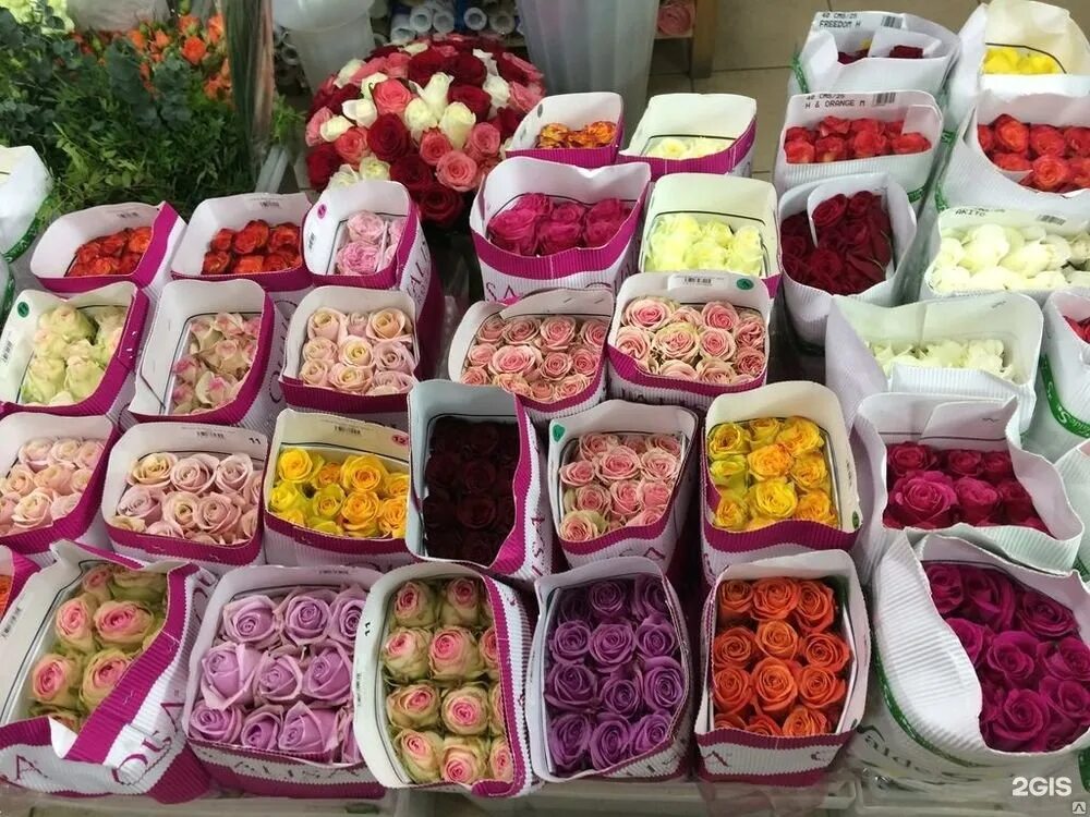 Оптовый цветочный склад. Оптовые цветочные базы. Цветы в магазине. Цветок ассортимент. Оптовая база цветов.