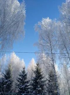 Покажи декабря