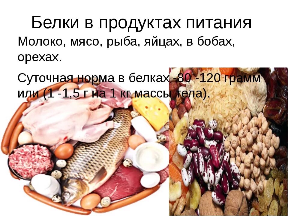 Белок в продуктах. Белки продукты. Белковые продукты. Белок в еде.