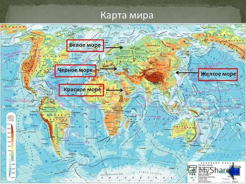 Желтая карта на 7 карте. Желтое море на физической карте.