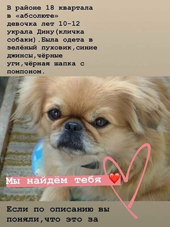 Как можно назвать щенка девочку